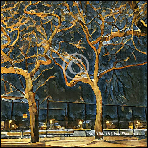 Trees Of Winter by Joy Tillis.